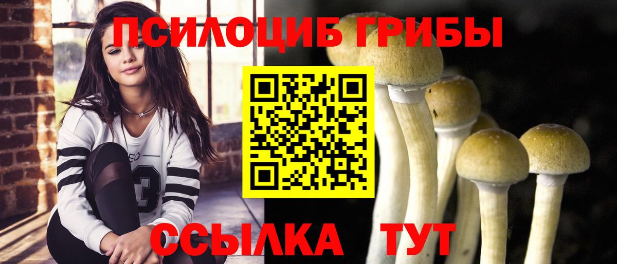 Партизанск  Галлюциногенные грибы ЛСД  где купить наркотик  Вход с VPN 